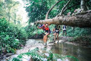 BIB: 
                            <button type="button" onclick="openModal(25439048)" class="btn btn-primary btn-sm float-right btn-popup" data-toggle="modal" data-target=".modal-high-quality">
                        <i class="fas fa-shopping-cart"></i> Add to Cart
                    </button>
                                            <button type="button" onclick="isThisMe(25439048, true)" class="btn btn-success btn-sm float-right btn-popup btn-isme hidden" data-toggle="tooltip" data-placement="bottom" title="นี่คือรูปของคุณใช่ไหม คลิกที่นี่เพื่อเอาเข้าอัลบั้ม">
                        <i class="fas fa-plus"></i> Add to album
                    </button>
                    <button type="button" onclick="isThisMe(25439048, false)" class="btn btn-warning btn-sm float-right btn-popup btn-isnotme hidden">
                        <i class="fas fa-ban"></i> Remove from album
                    </button>